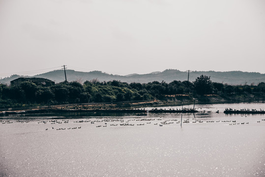 黄陂湖