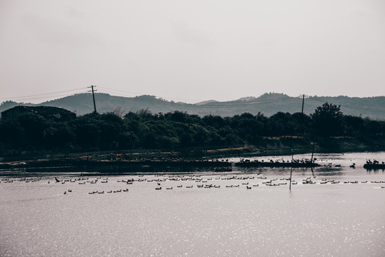 黄陂湖