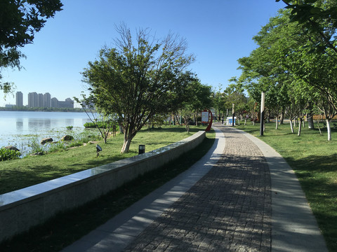 龙池湖市民公园石铺路