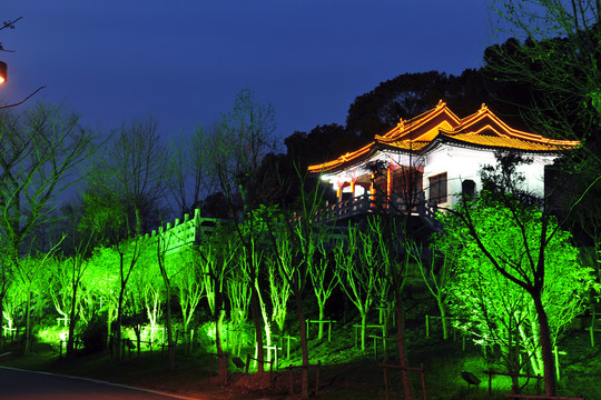 管社山夜景