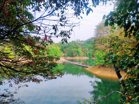 阳明湖风光