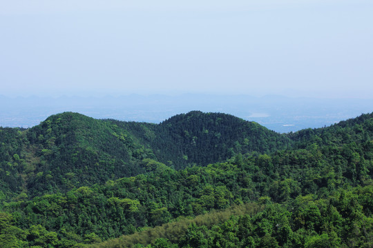 青山