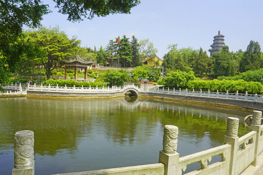 青岛湛山寺莲花池园林水景