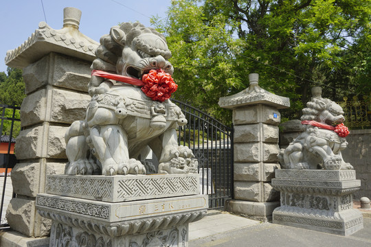 青岛湛山寺石狮雕塑