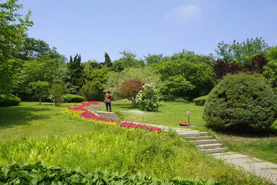 青岛植物园草坪小路