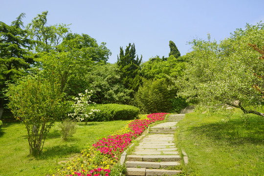 青岛植物园石梯