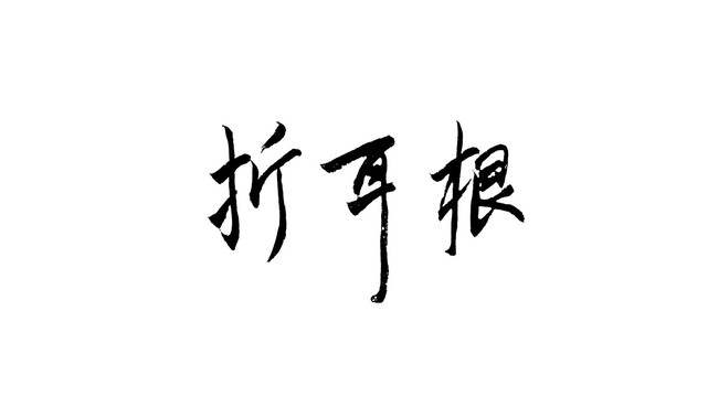 折耳根