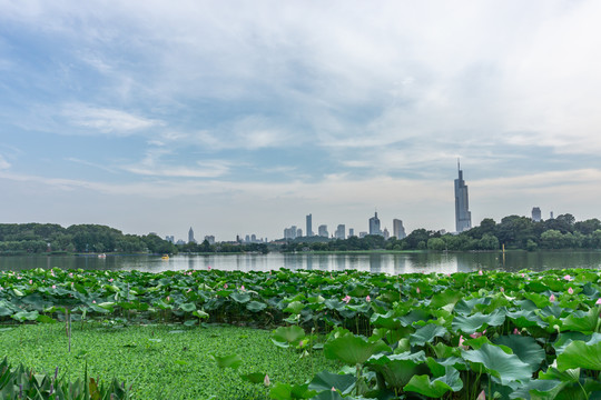 南京全景