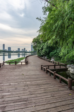 玄武湖畔木栈道