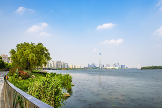 金鸡湖风景全景