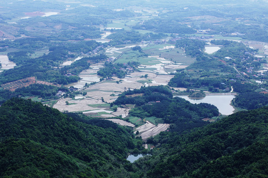 乡村田野