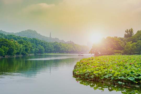 杭州西湖夏天