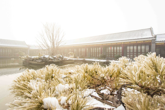 四合院雪景如画