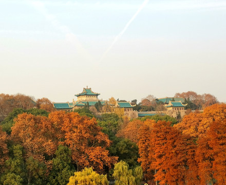 武汉大学樱顶老图秋景