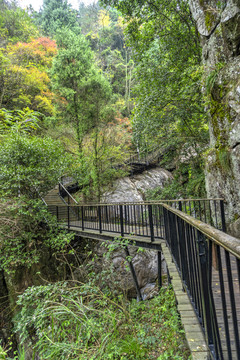 浙江台州神仙居风景区山路