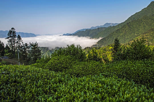 湖北五峰古村落