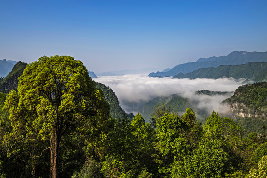 湖北五峰茶园古村