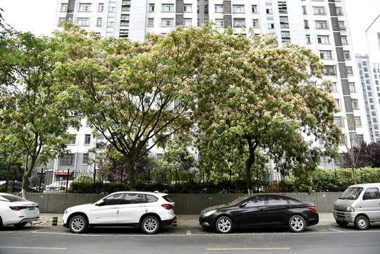 合肥城市街景