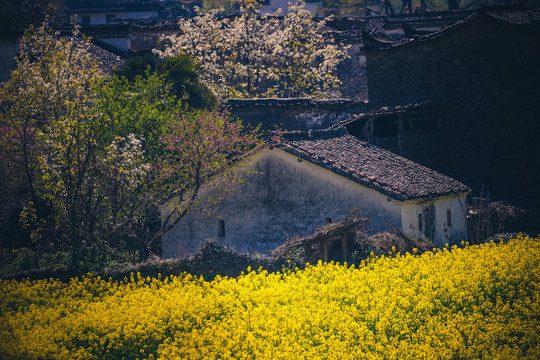 中国江西婺源风景