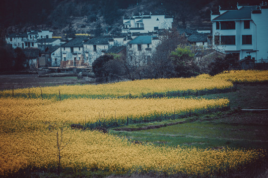 中国江西婺源乡村风景