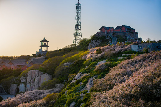 泰山极顶