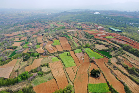 农田田野