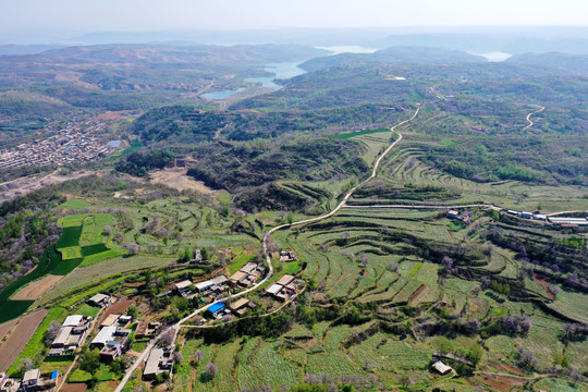 农村原野