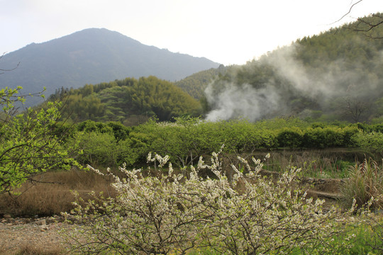 山村