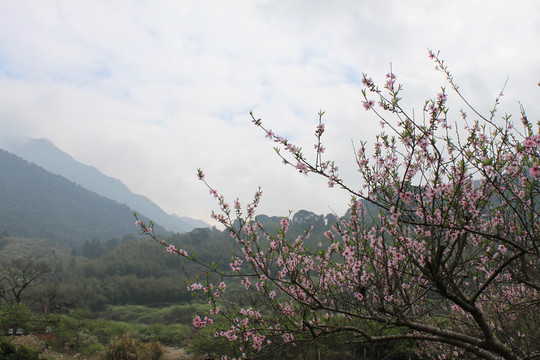 从化溪头村