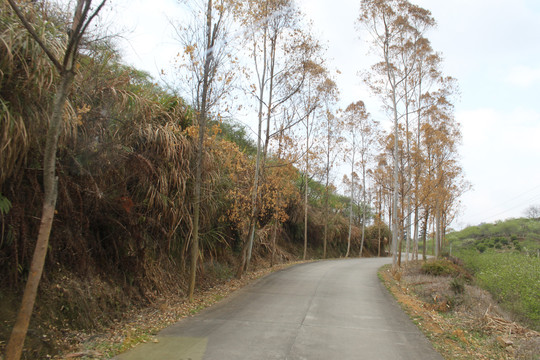 道路