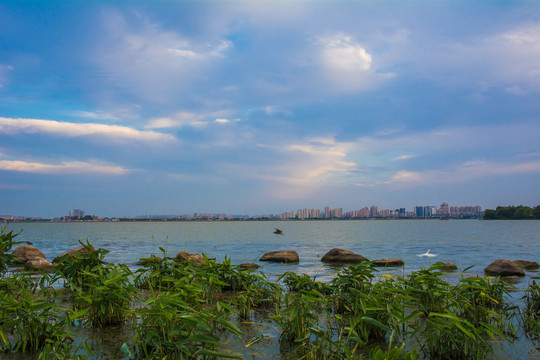 苏州金鸡湖