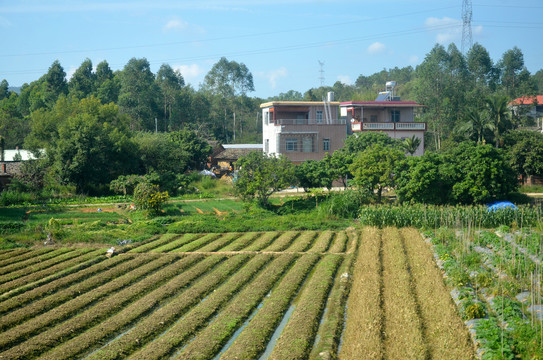 山区农村风光