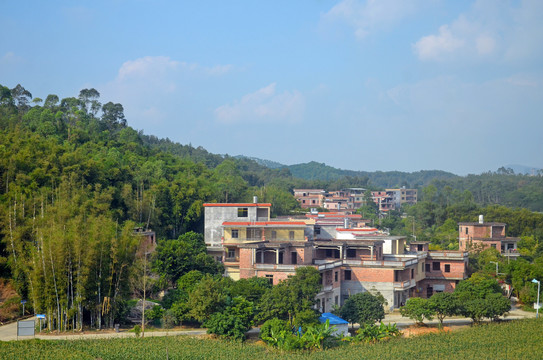 广州郊区农村