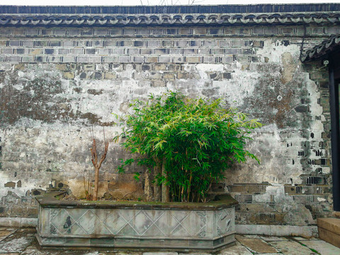 古建筑墙壁花草