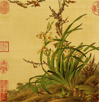 郎世寧花鳥圖冊