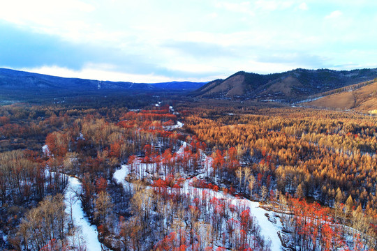 大兴安岭林海雪原冰河树林雪景