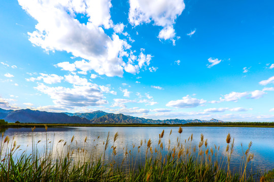 远山湖泊