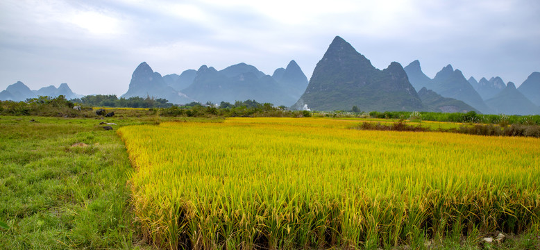 秋天风景