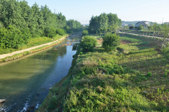 白水河道