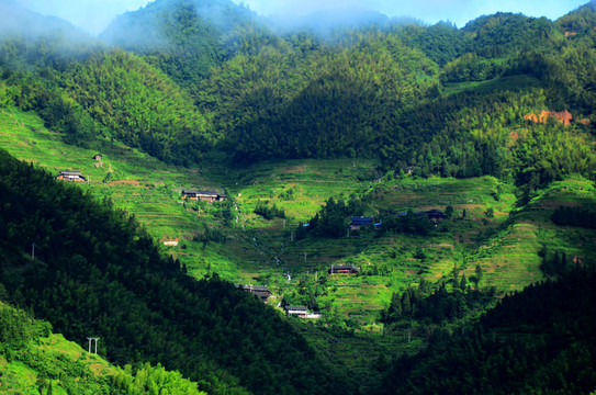 山村