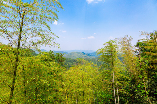 莫干山远山