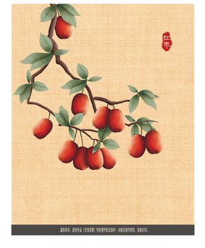 紅棗素材