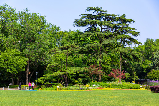 中山公园风景