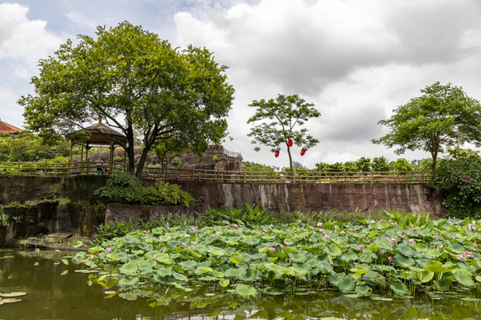 番禺莲花山荷塘景色