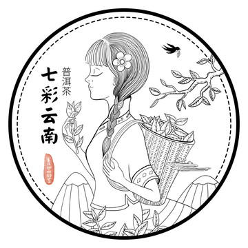 采茶姑娘普洱古樹茶茶餅包裝插畫
