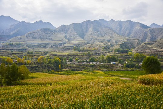 山村风光