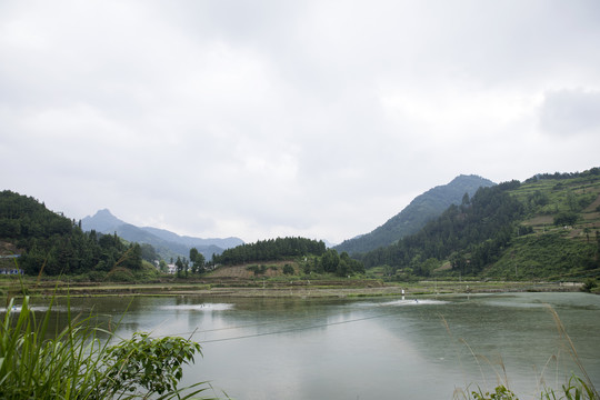 山区养鱼池