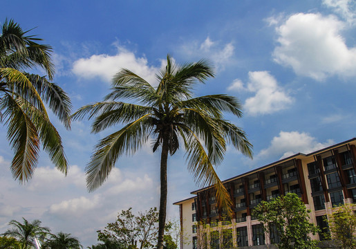 椰林酒店