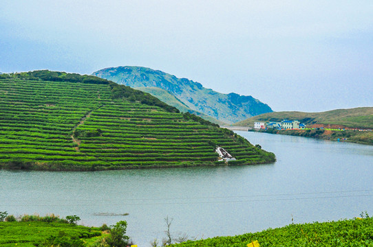 大嵛山岛