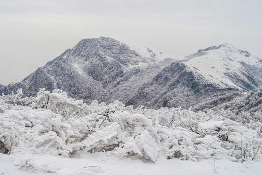 高山雪景